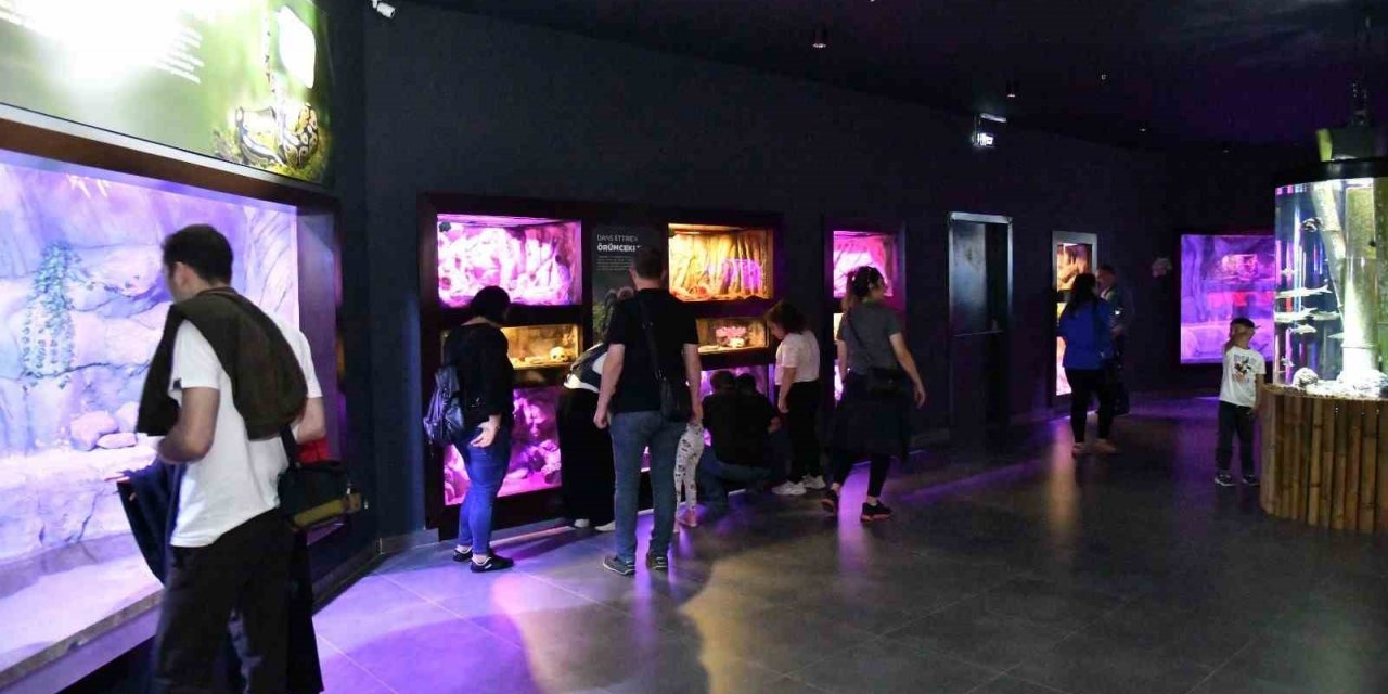 Trabzon Akvaryum dolup taşıyor