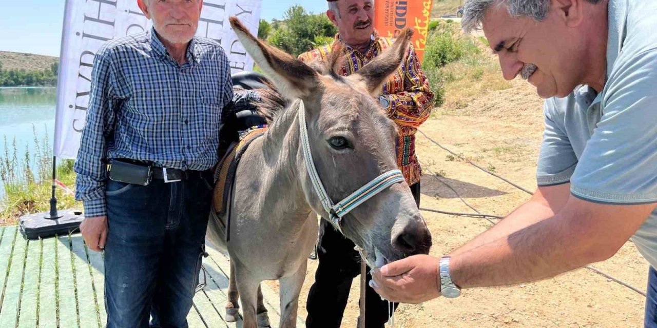 Altını çocuklar buldu, yoğurdu eşek yedi