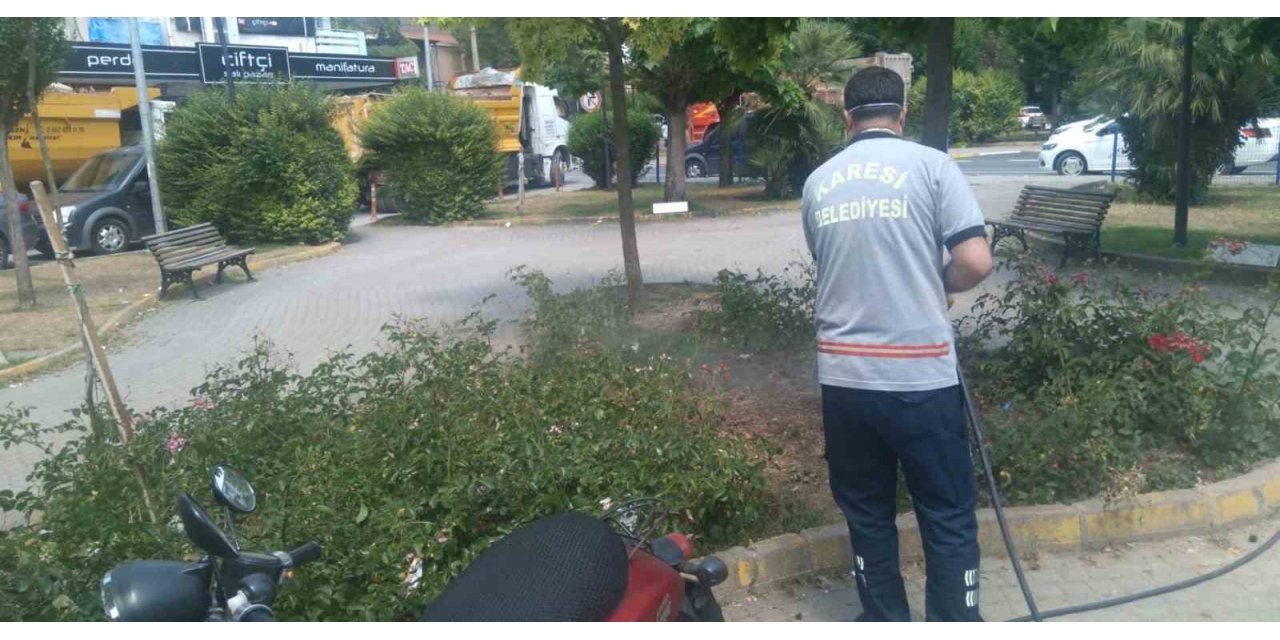Karesi de ilaçlama 7/24 sürüyor