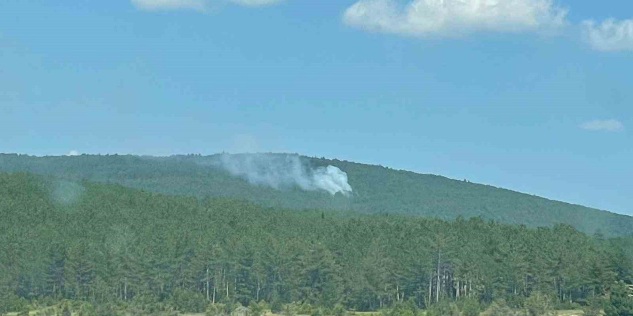 Yıldırım düşen ormanda çıkan yangın söndürüldü