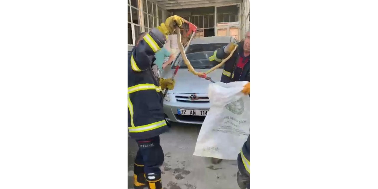 Otomobilin motor kısmına giren yılan bagajdan çıkarıldı