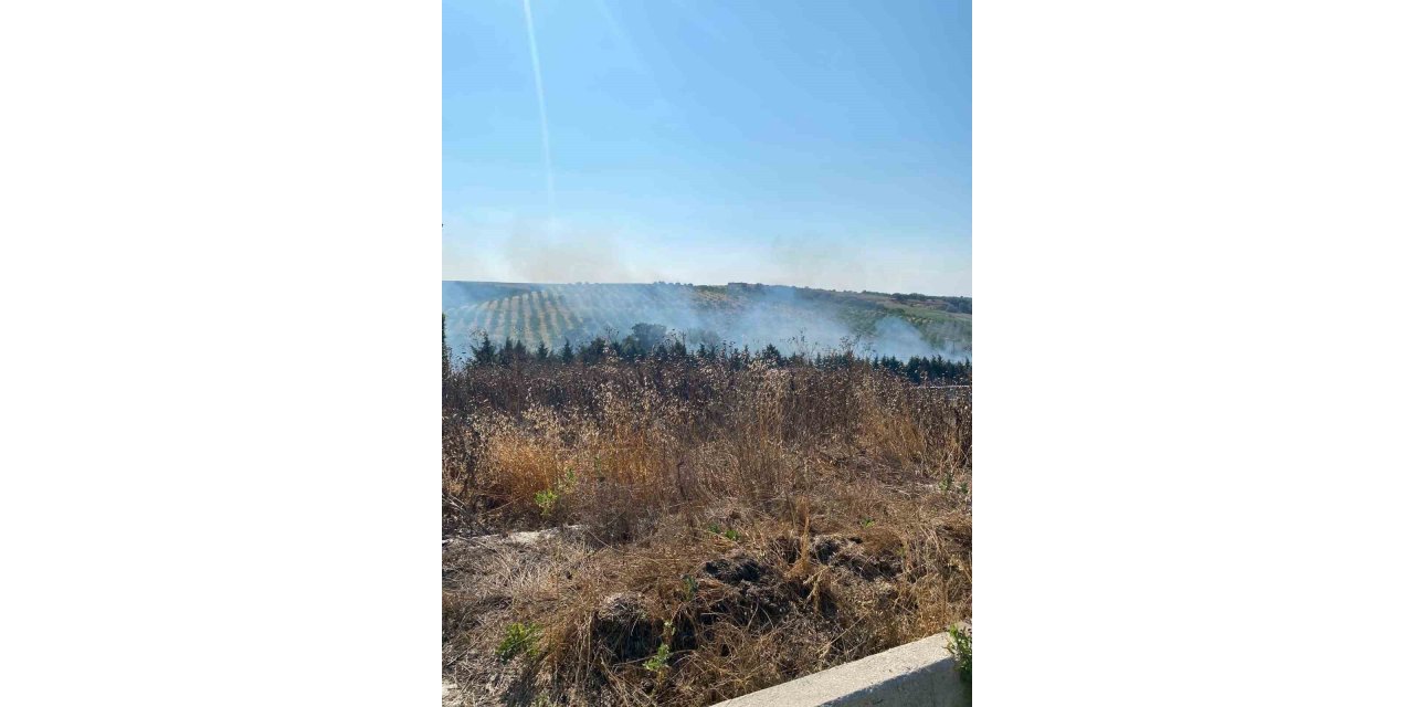 Tekirdağ’da bir çiftlikte çıkan yakın ekiplerce söndürüldü