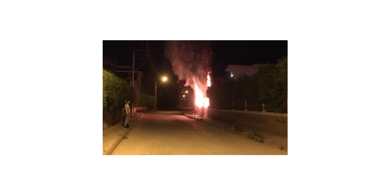 Site bahçesindeki ağaçları ateşe verdiler