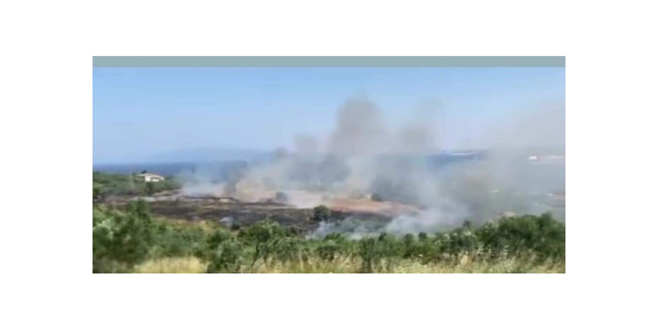 Erdek Tatlısu yangını korkuttu