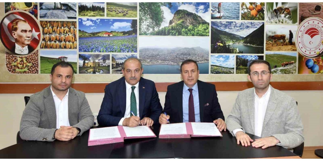 Trabzon’da 400 dönümlük alanda İsabella üzümü üretimine destek verilecek