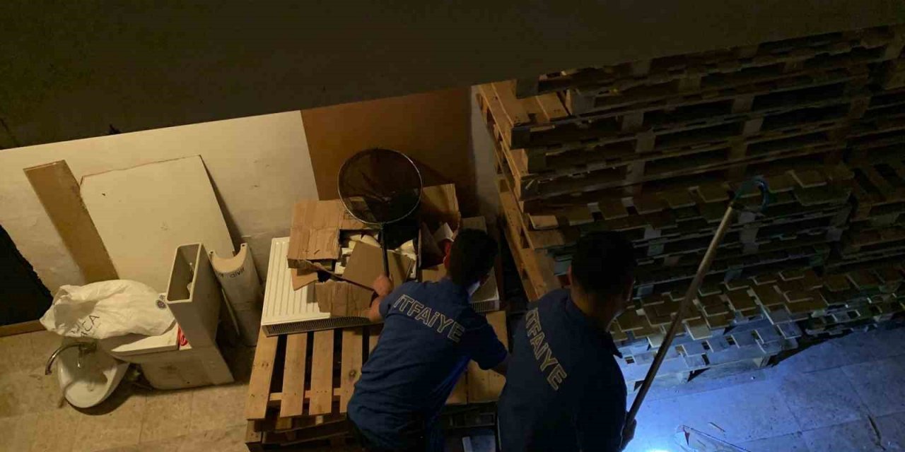 Yalova’da itfaiyeden kedi kurtarma operasyonu