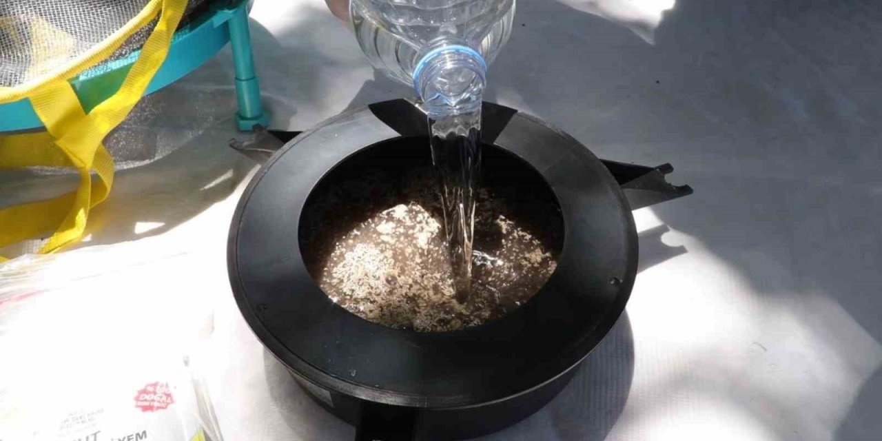 Vektör mücadelesinde karasinek tuzağı