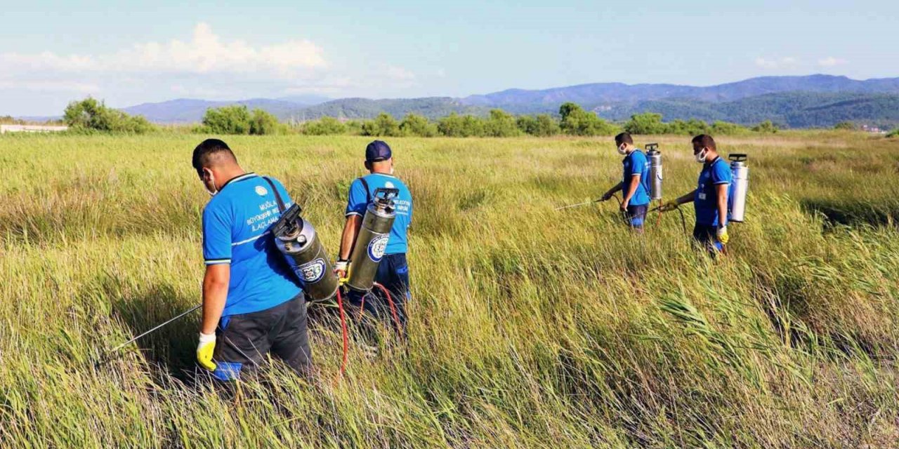 Vektör ile mücadele devam ediyor