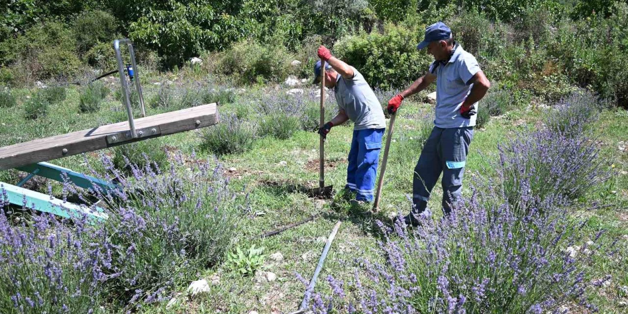 Kemer’de “Mor turizm” başlıyor