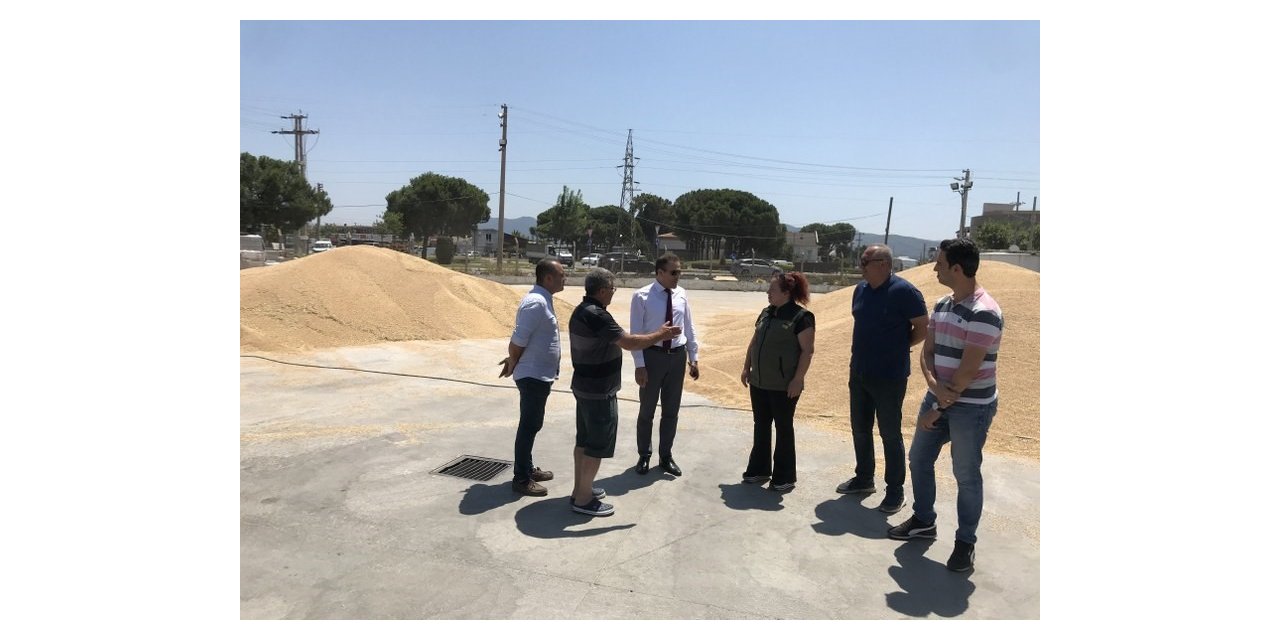 TMO hububat alımlarına devam ediyor