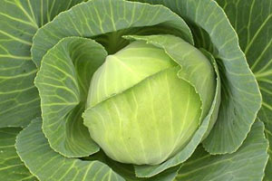 İdrar söktürmede bire bir