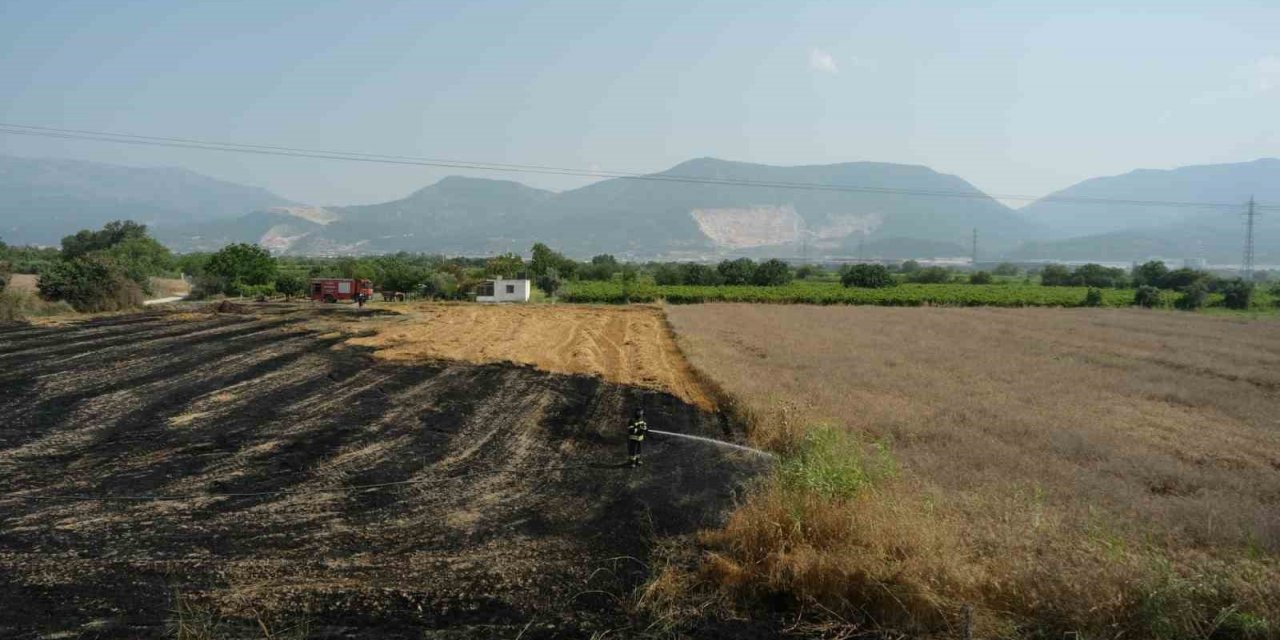 Manisa’da ekin yangını başka tarlalara sıçramadan söndürüldü