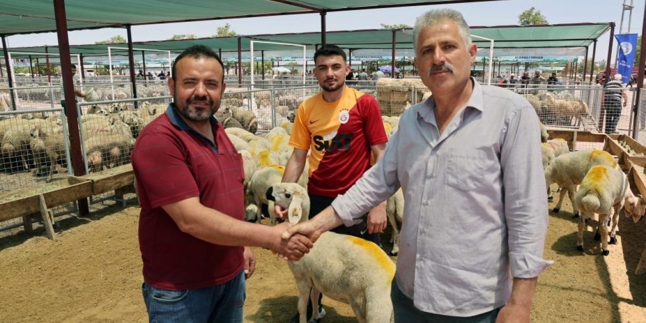 Kayserililerin kurban tercihi küçükbaş hayvan oldu