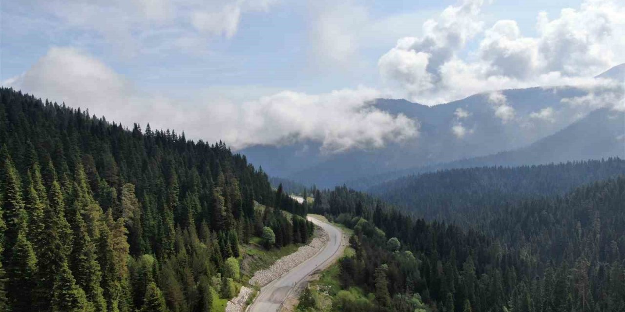 Kastamonu’da ormanlık alanlara girişler yasaklandı