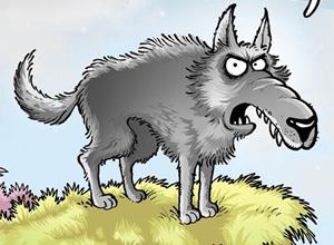 Ülkücüler bu kapağa kızacak!