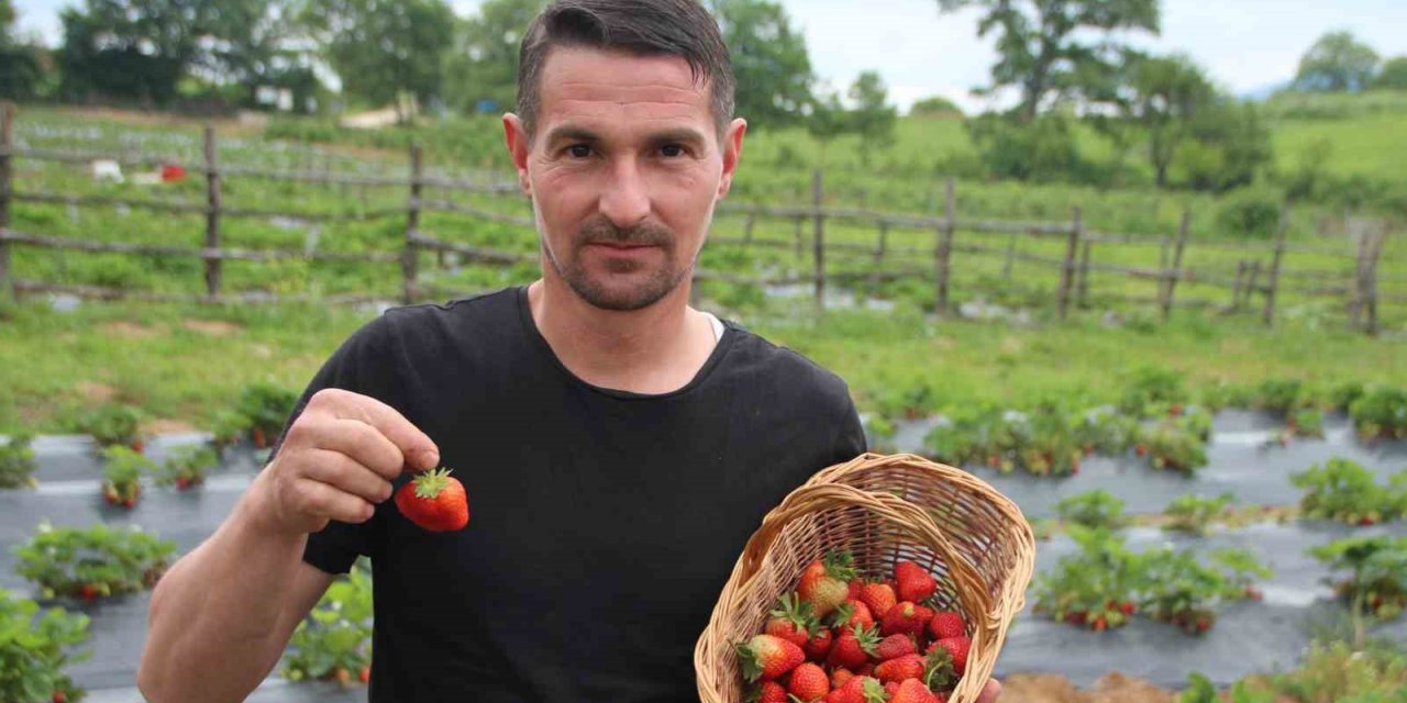 Hobi olarak başladığı çilek yetiştiriciliğinde hedefi yurtdışına ihracat