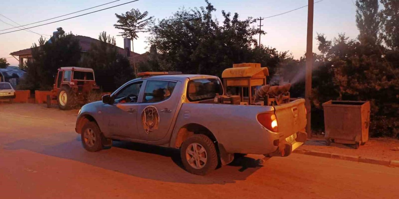 Altıntaş Belediyesi sinek, sivrisinek ve haşerelere karşı ilaçlama çalışması başlattı