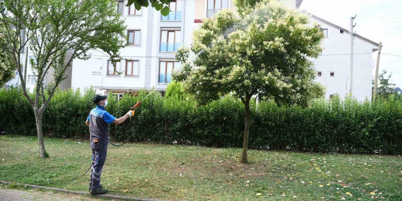 Mesire alanları ve parklar ilaçlanıyor