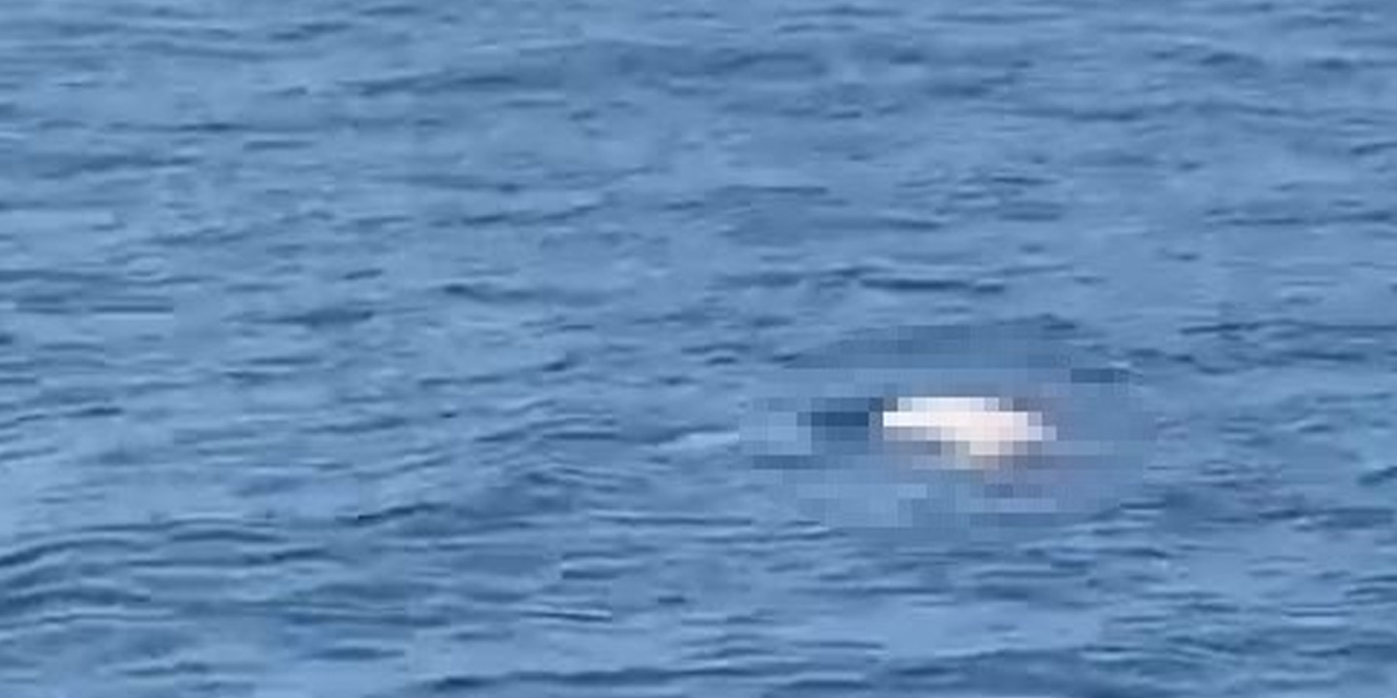 Konyaaltı Sahili açıklarında deniz üzerinde erkek cesedi bulundu
