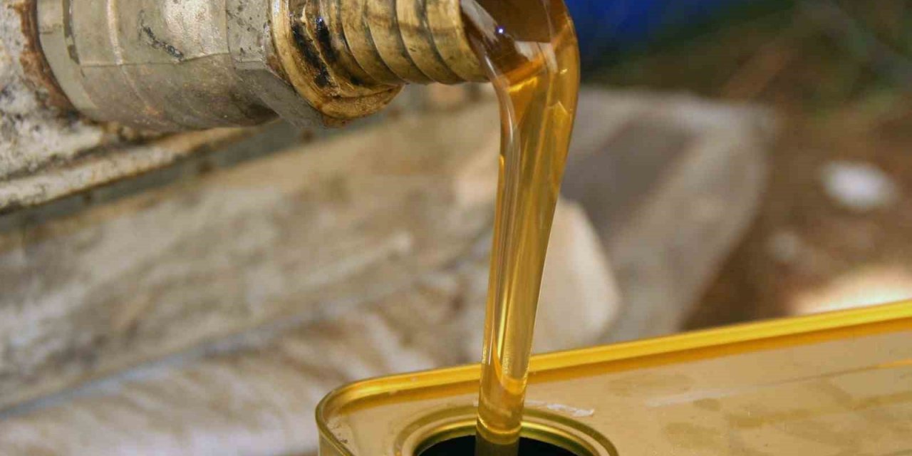 Marmaris Ticaret Odası Başkanı Ayhan: "Çam balında rekolte yükseliyor"