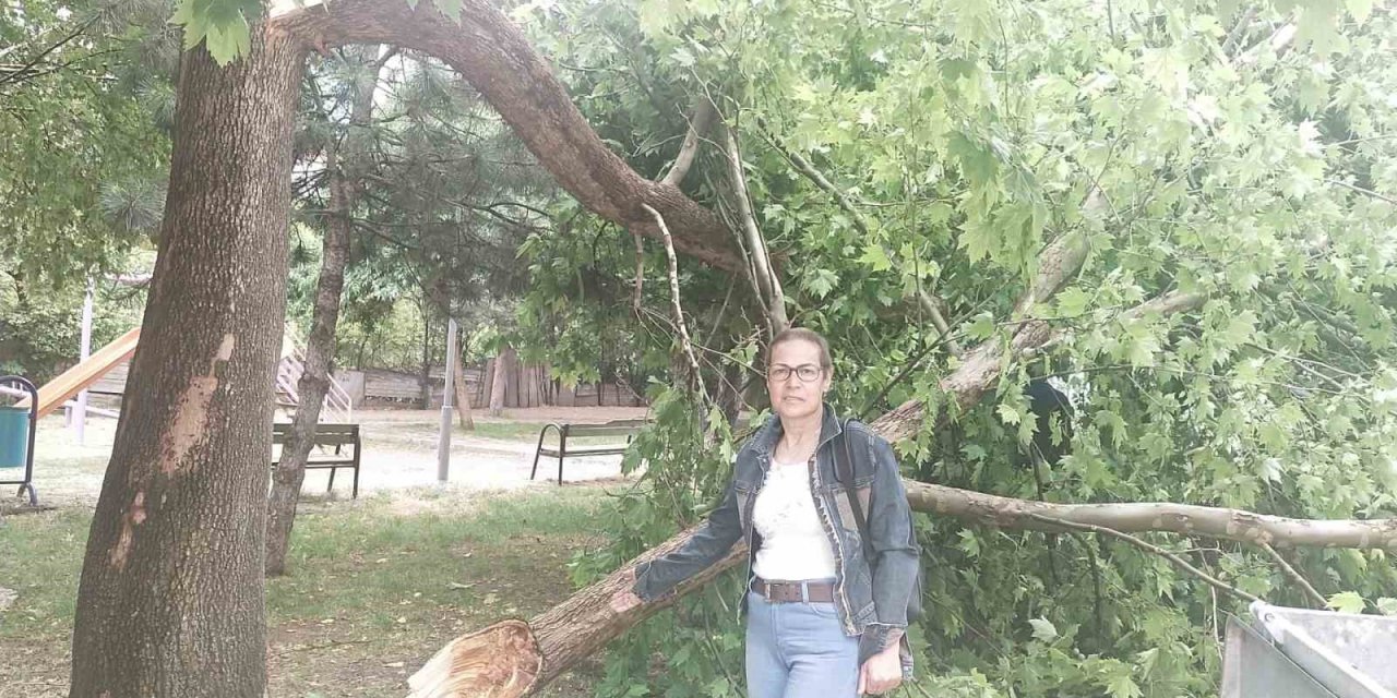 Yıldırım elektrik trafosuna zarar verdi, kopan ağaç dalı otomobilin üzerine düştü