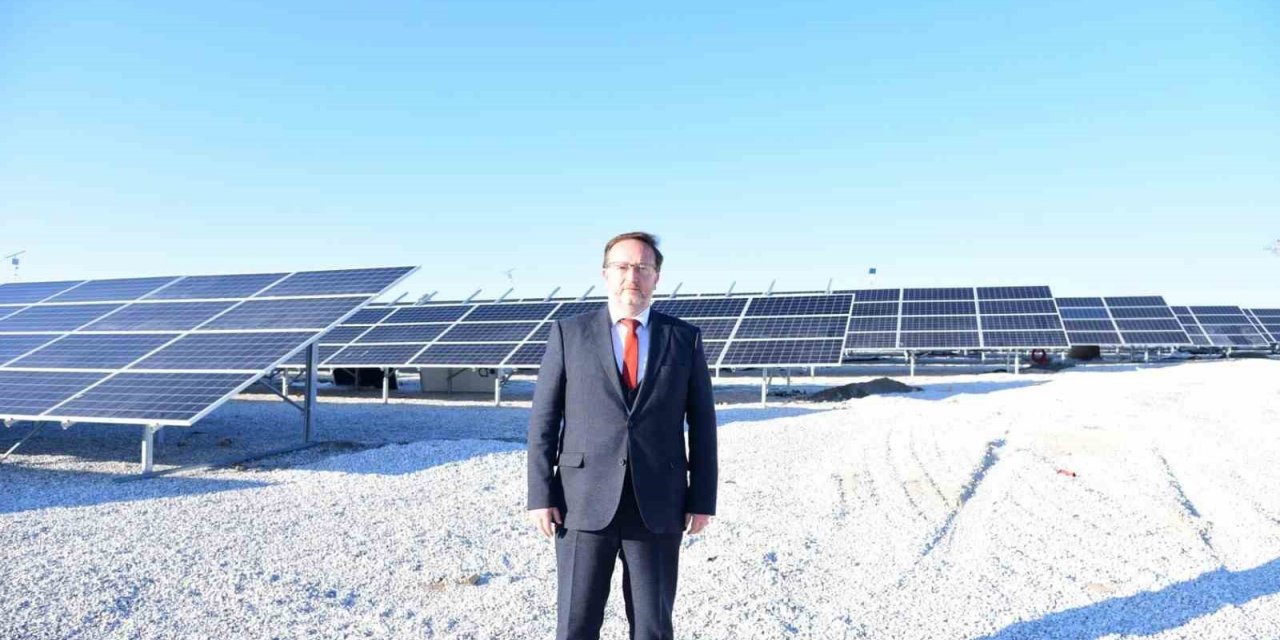 Karesi enerjisini güneşten alıyor