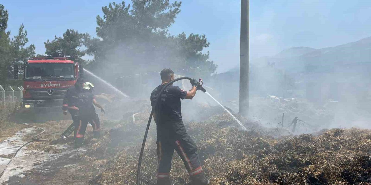 Çiftlik yangını ormana sıçramadan söndürüldü