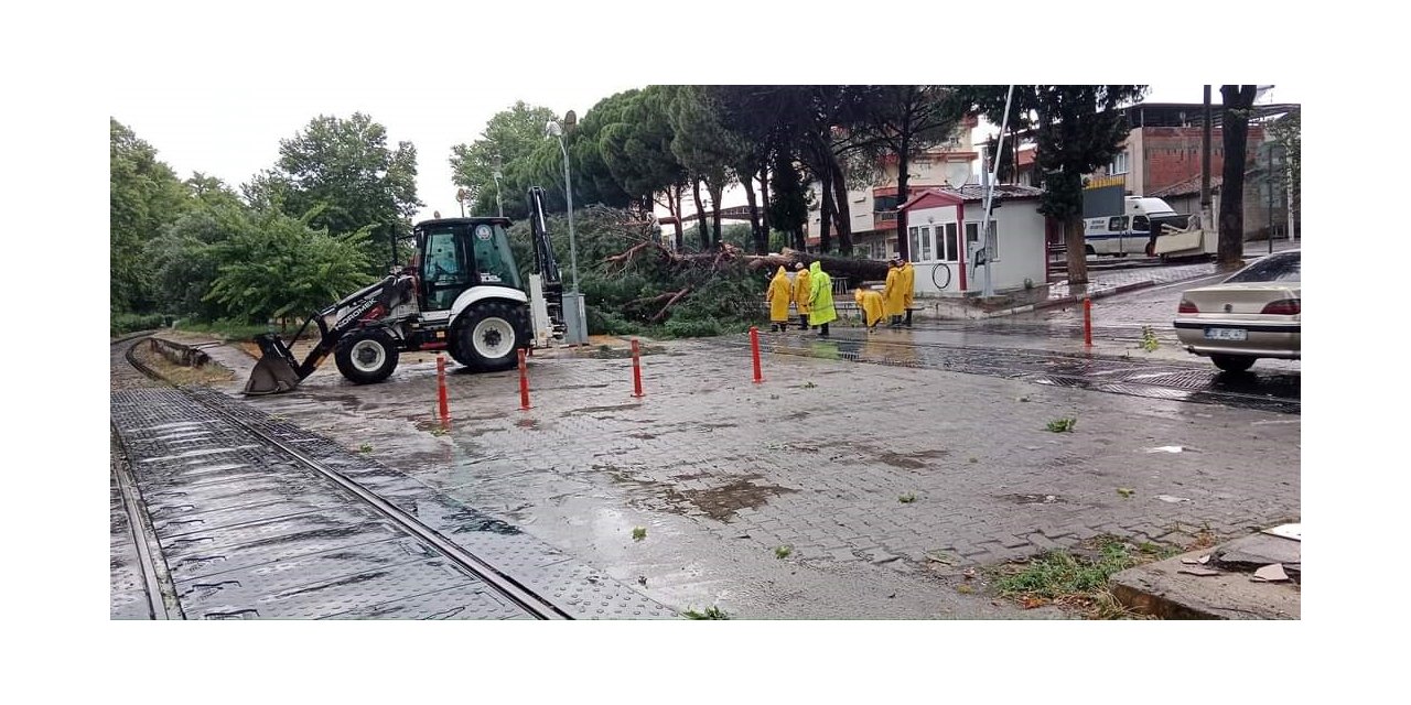 Demiryoluna ağaç devrildi seferler durdu