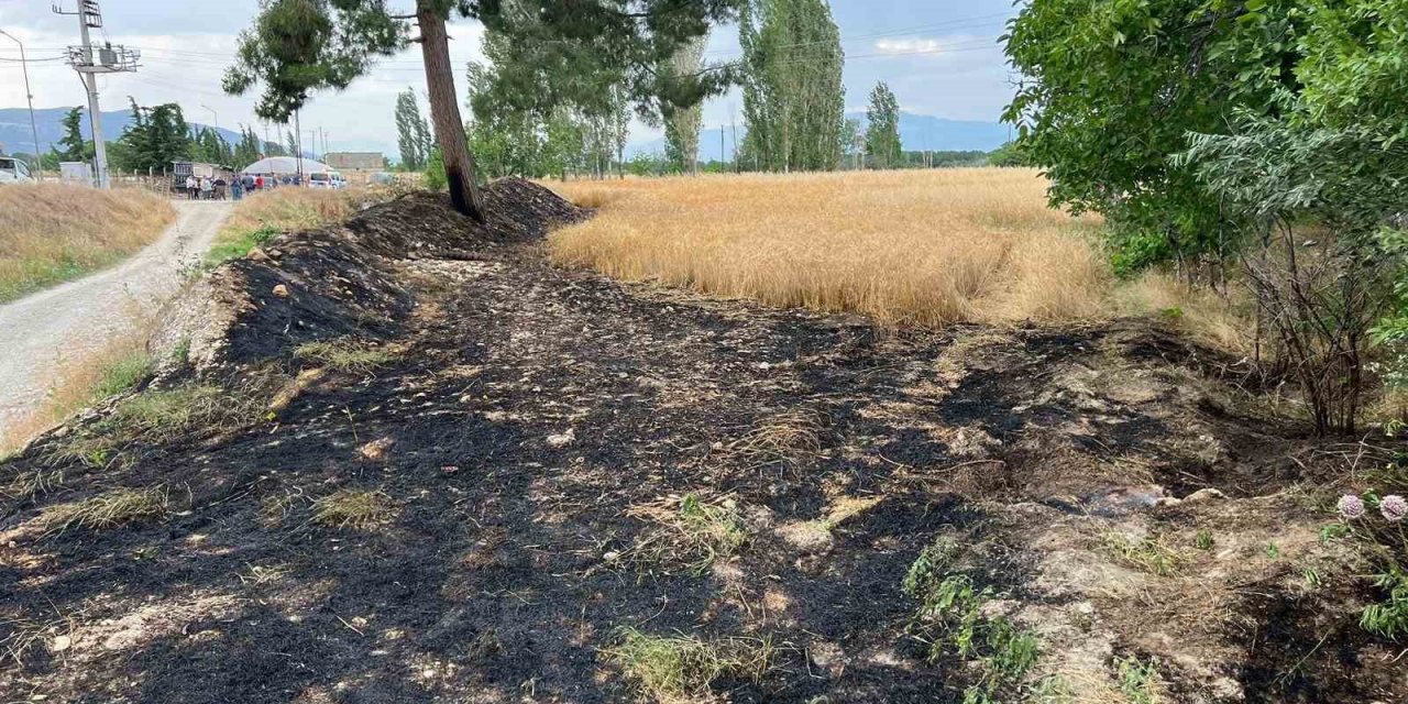 Burdur’da buğday tarlasında çıkan yangın itfaiyenin erken müdahalesiyle söndürüldü