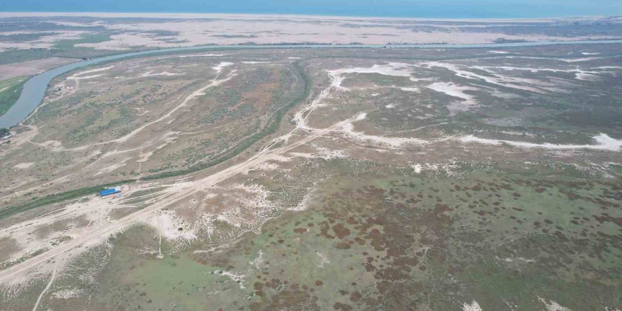 Tarla balıkçılığı ekonomiye 450 milyon dolar katkı sağlayacak