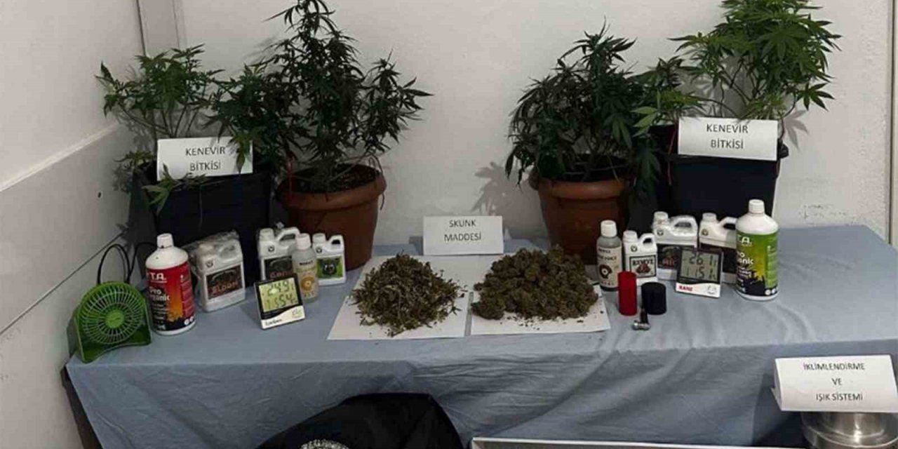 Jandarmadan iki haftada 24 uyuşturucu operasyonu