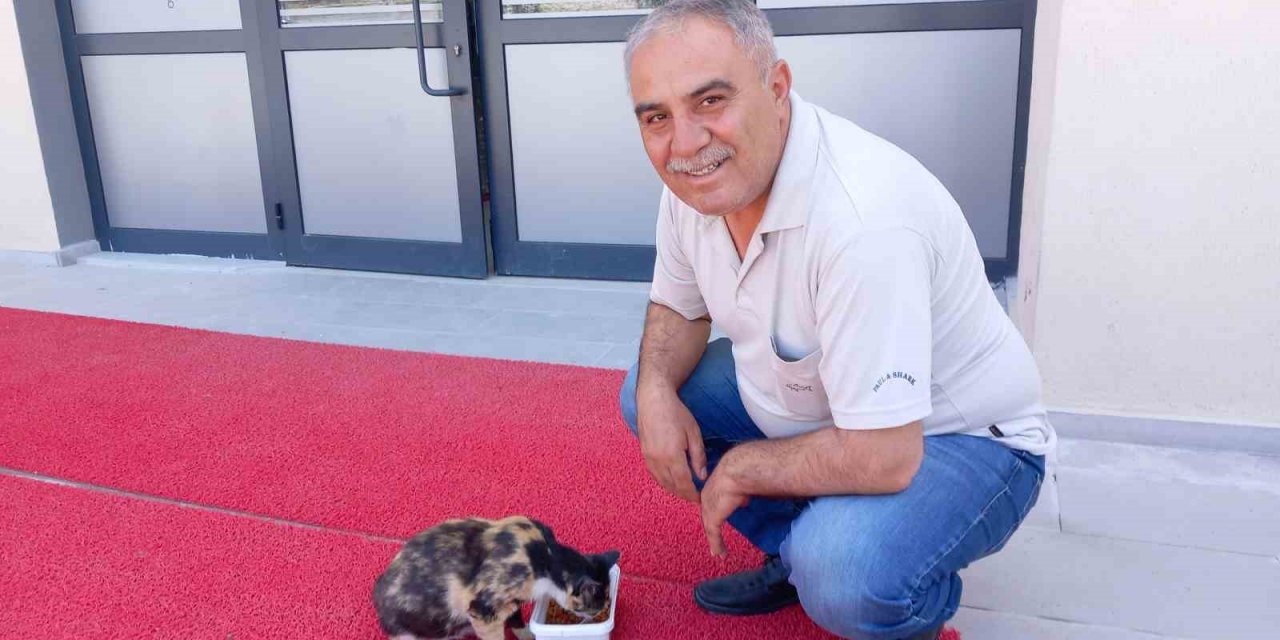 Sevimli kedi, Emirdağ Mithatpaşa Ortaokulu’nun bekçiliğini yapıyor