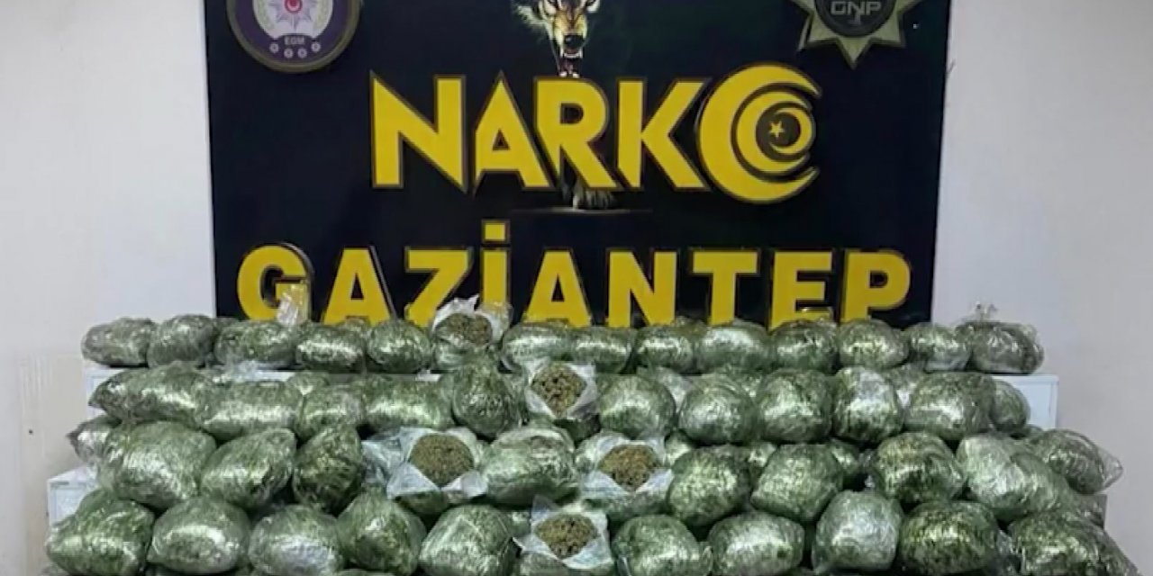 Gaziantep’te 80 kilo skunk ele geçirildi