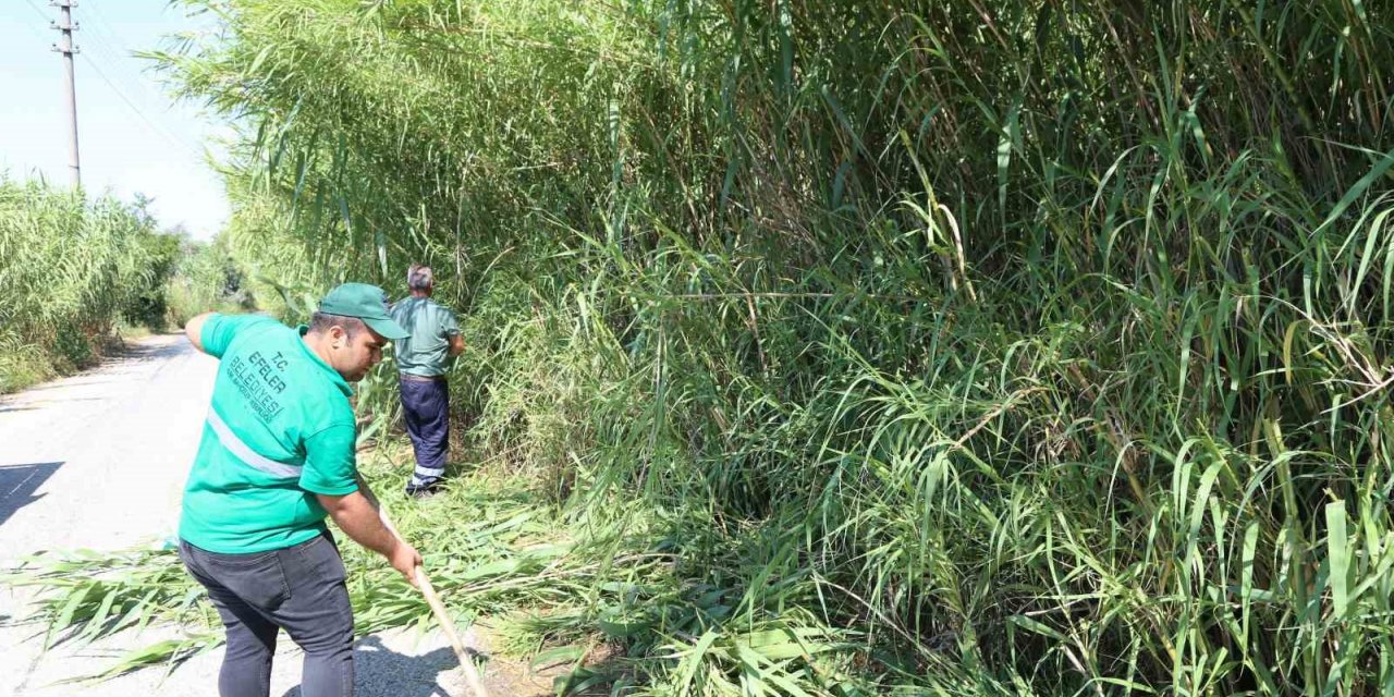 Efeler Belediyesi ekiplerinden kargı temizliği
