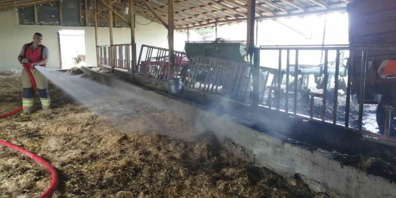 Besihanede çıkan yangın ekipler tarafından bürümeden söndürüldü