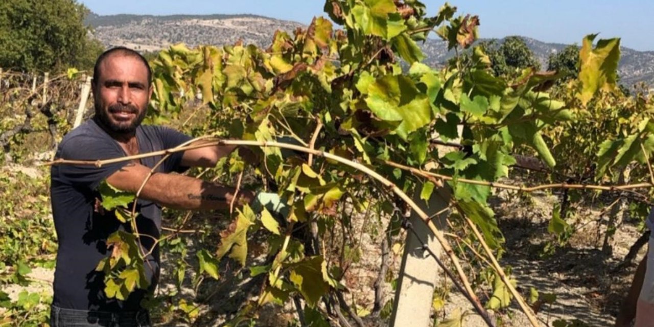 Denizli'de şüpheli ölüm! Tarım işçileri araç içerisinde yarı çıplak ceset buldu