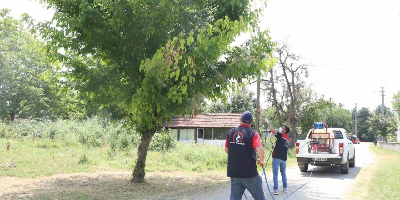 Her yer köşe bucak ilaçlanıyor