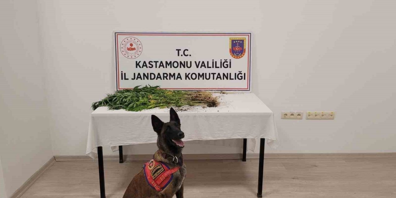 Kastamonu’da uyuşturucu operasyonu: 3 gözaltı