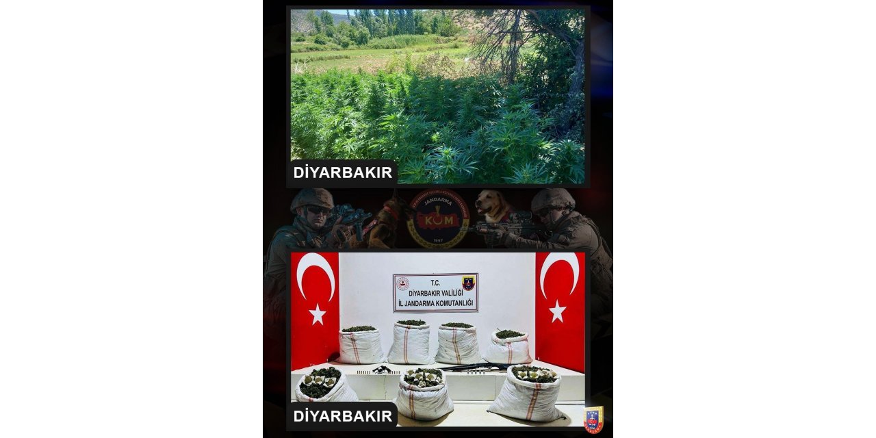 Diyarbakır’da 357 bin kök Hint keneviri, 86 kilo kubar esrar ele geçirildi