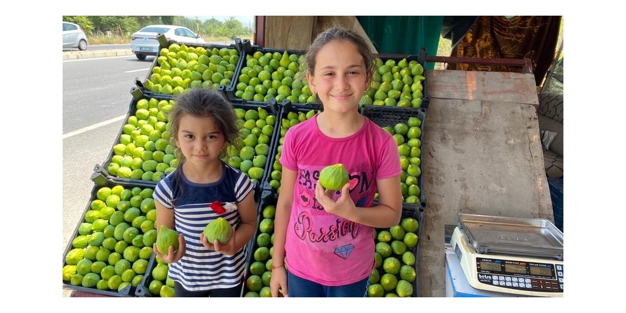 Kış uzun sürünce Aydın’da tezgahları Manisa inciri süsledi