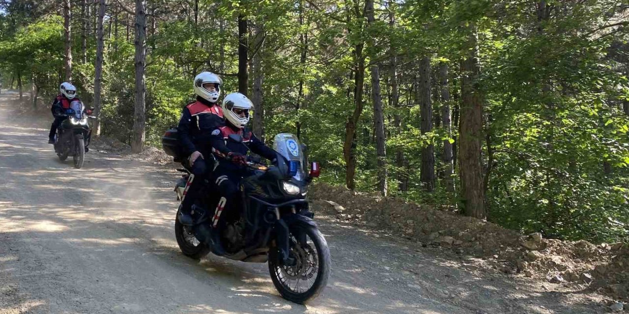 Orman yangınlarına karşı denetimlere başlandı