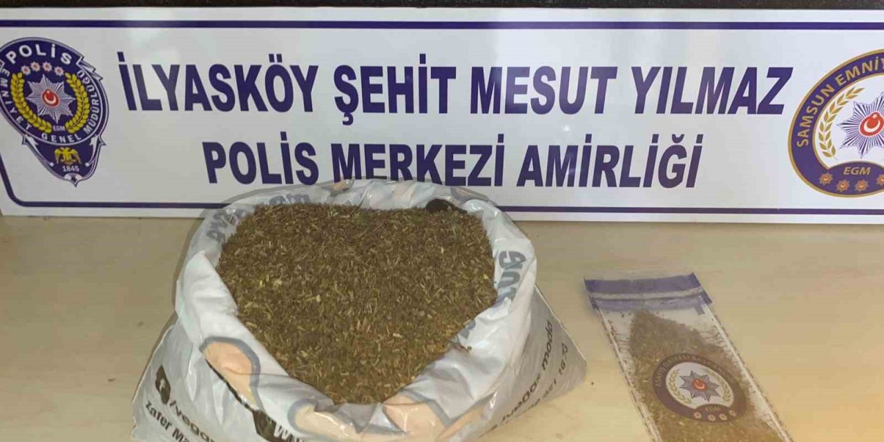 Samsun’da 1 kilo 172 gram bonzai ele geçti: 1 gözaltı
