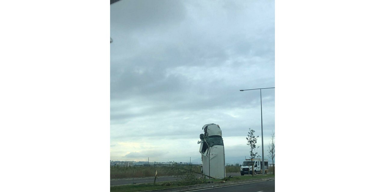 Yağmurda şaha kalktı