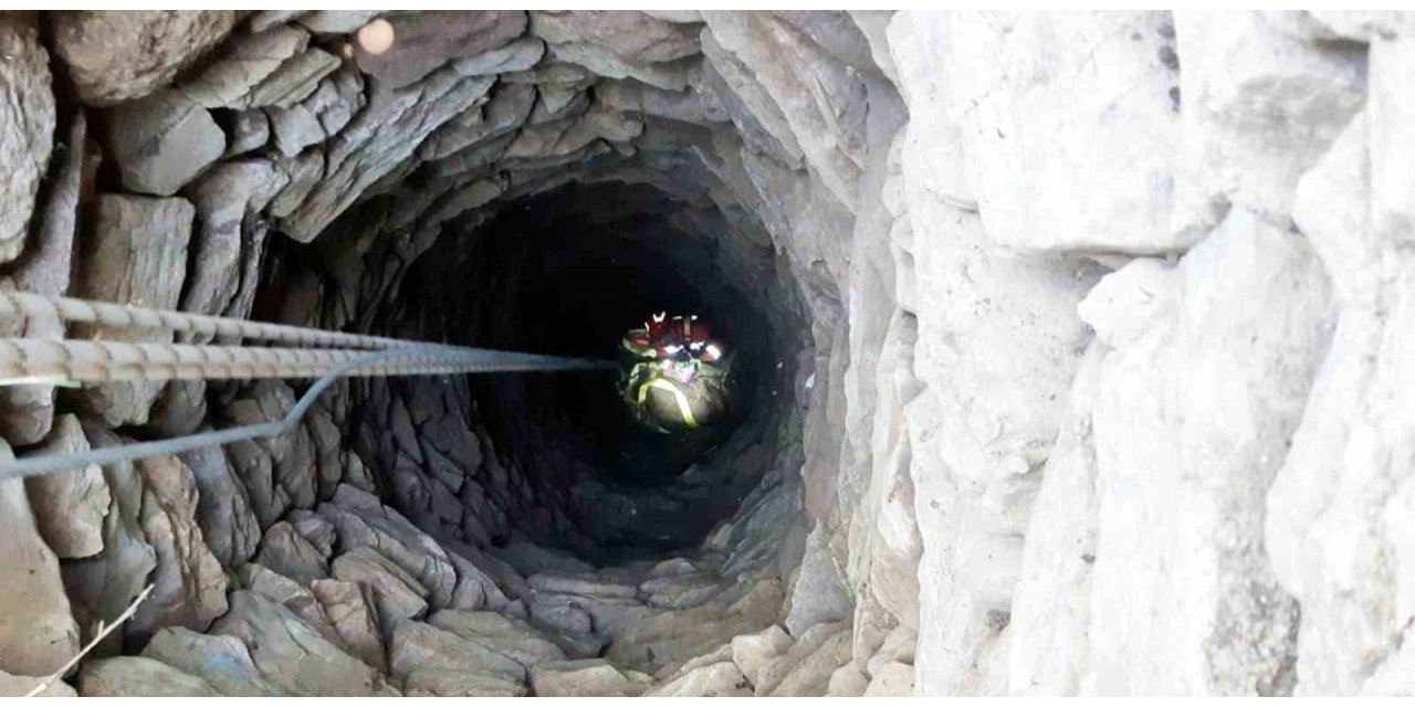 Keçiler 15 metrelik kuyuya düştü