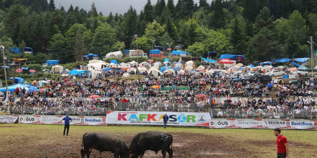 Kafkasör Festivali’nin 3. gününde 32 boğa güreşti