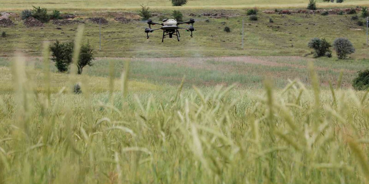 Talas’ta drone ile ilaçlama devri