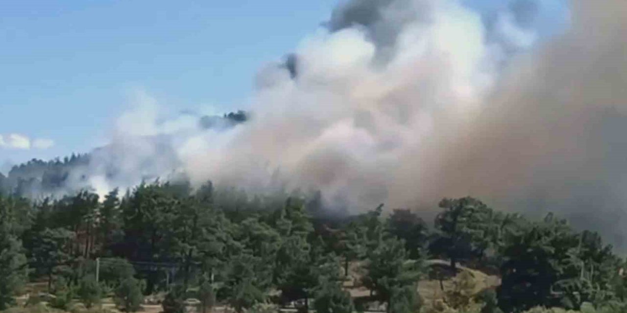 Ula’da orman yangını