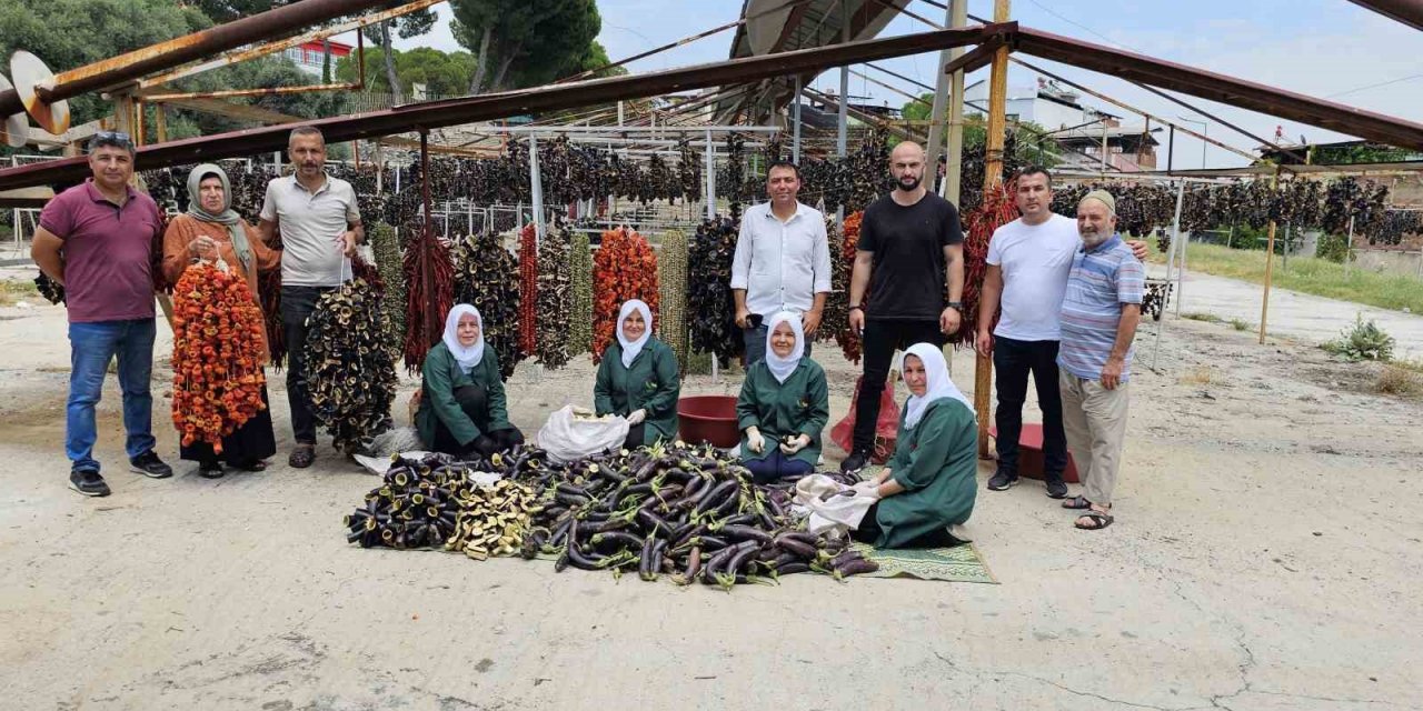 Patlıcan Vadisi’nde renkli görüntüler