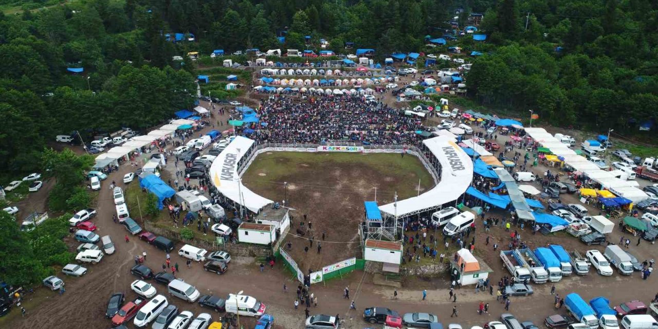 Artvin’in Kafkasör Yaylasında boğaların 42. randevusu nefes kesti