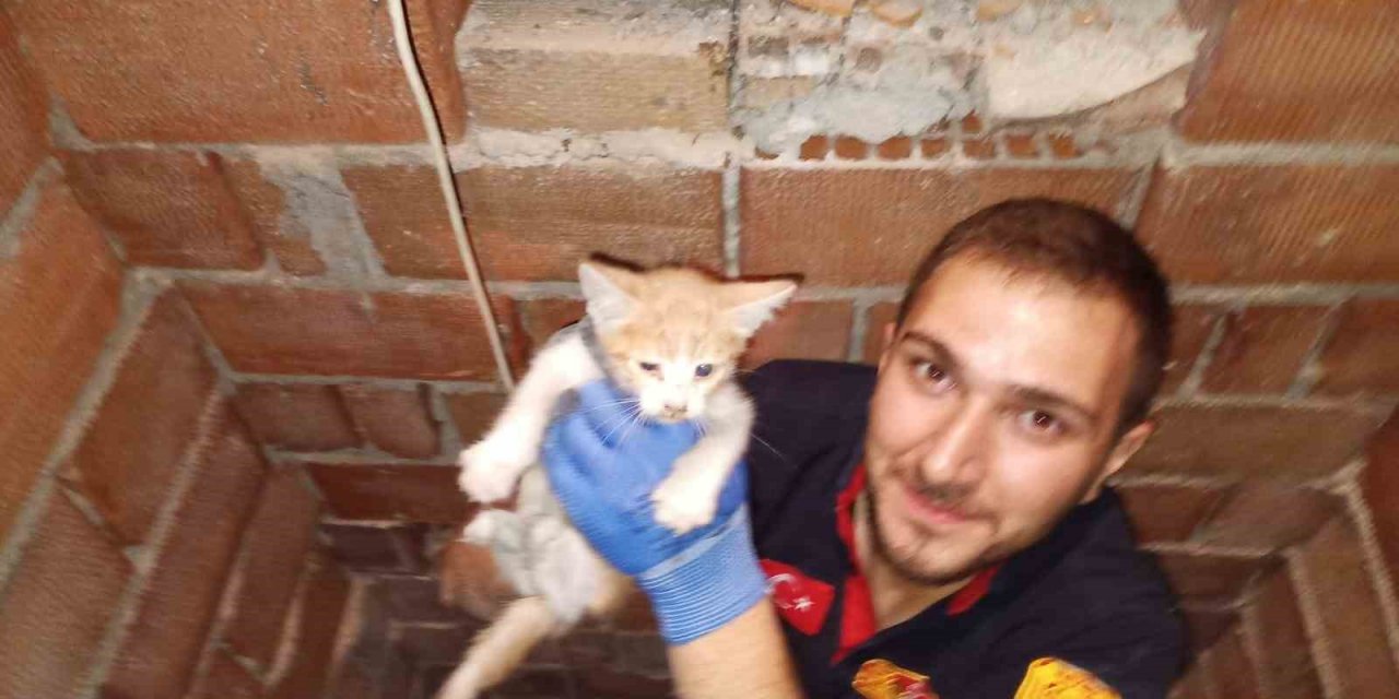 Havalandırma boşluğuna düşen yavru kediyi itfaiye kurtardı